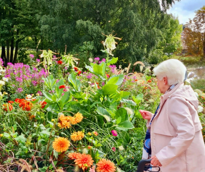 Gartenschau (11)