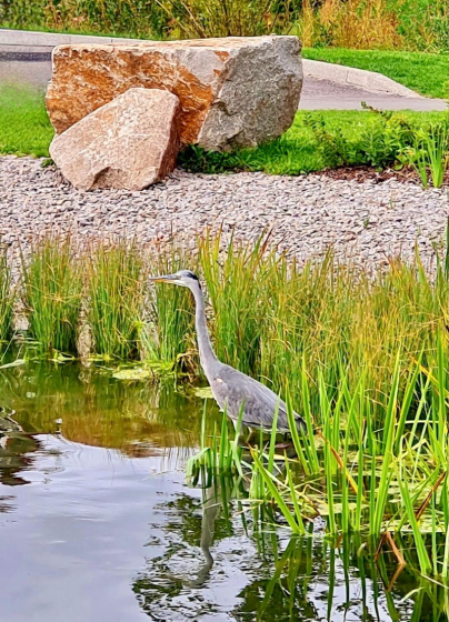 Gartenschau (12)