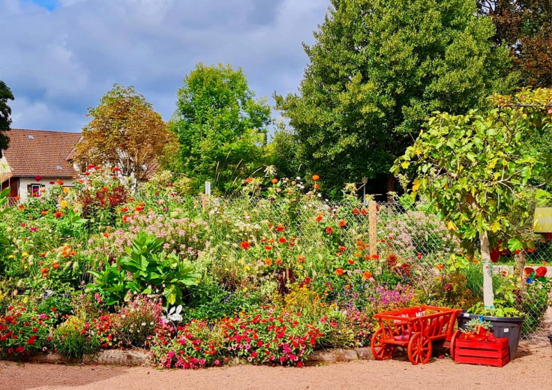 Gartenschau (5)